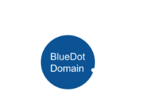 BlueDot Domain Logo showing the words BlueDot Domain in the centre of a blue circle with a smaller white dot on the right bottom side
